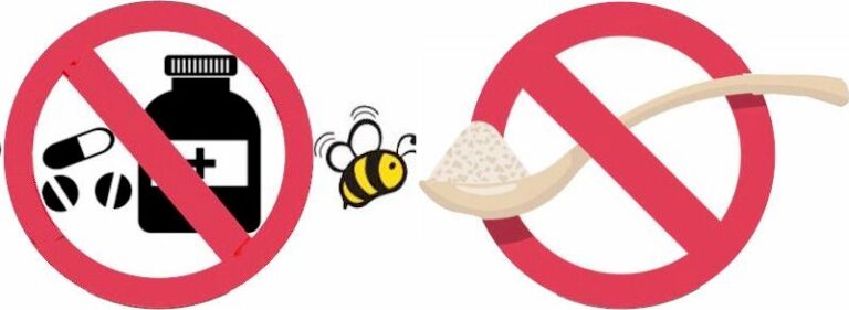 no chemicals/no sugar for bees