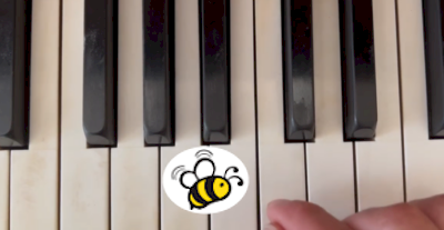 piano-bee