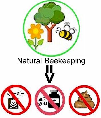 Treatment-Free Beekeepers